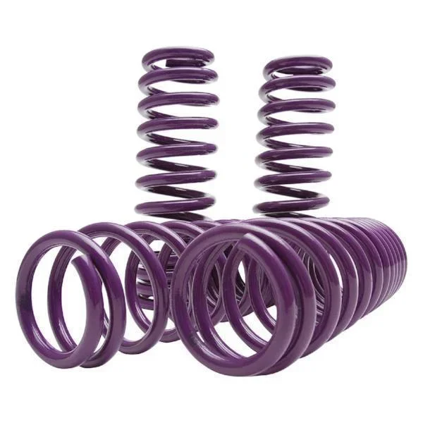 D2 Racing Lowering Springs | 2008-2020 Dodge Challenger RWD (D-SP-DO-01-2)