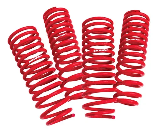 Skunk2 Lowering Springs Acura RSX 2002-04 (all models)